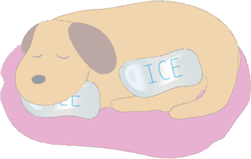 ご遺体の頭とお腹辺りを冷やすイラスト